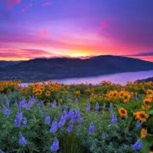 Meet your Posher, Chloe